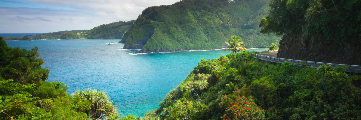 Maui Hawaï een van de mooiste eilanden om te bezoeken in Noord-Amerika - Eilandengids.nl